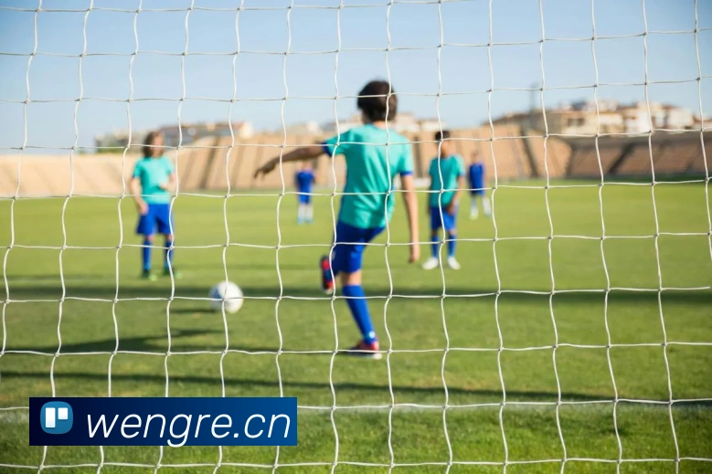 开云官方登录发展历程